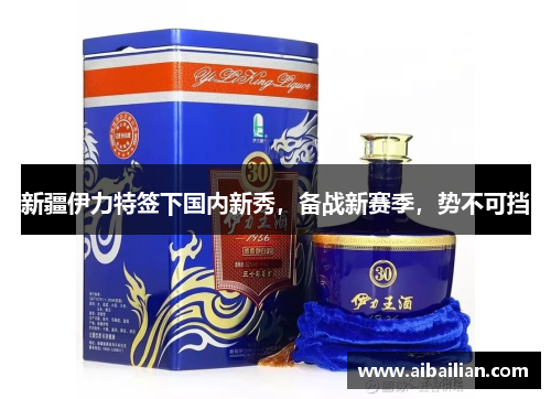 新疆伊力特签下国内新秀，备战新赛季，势不可挡
